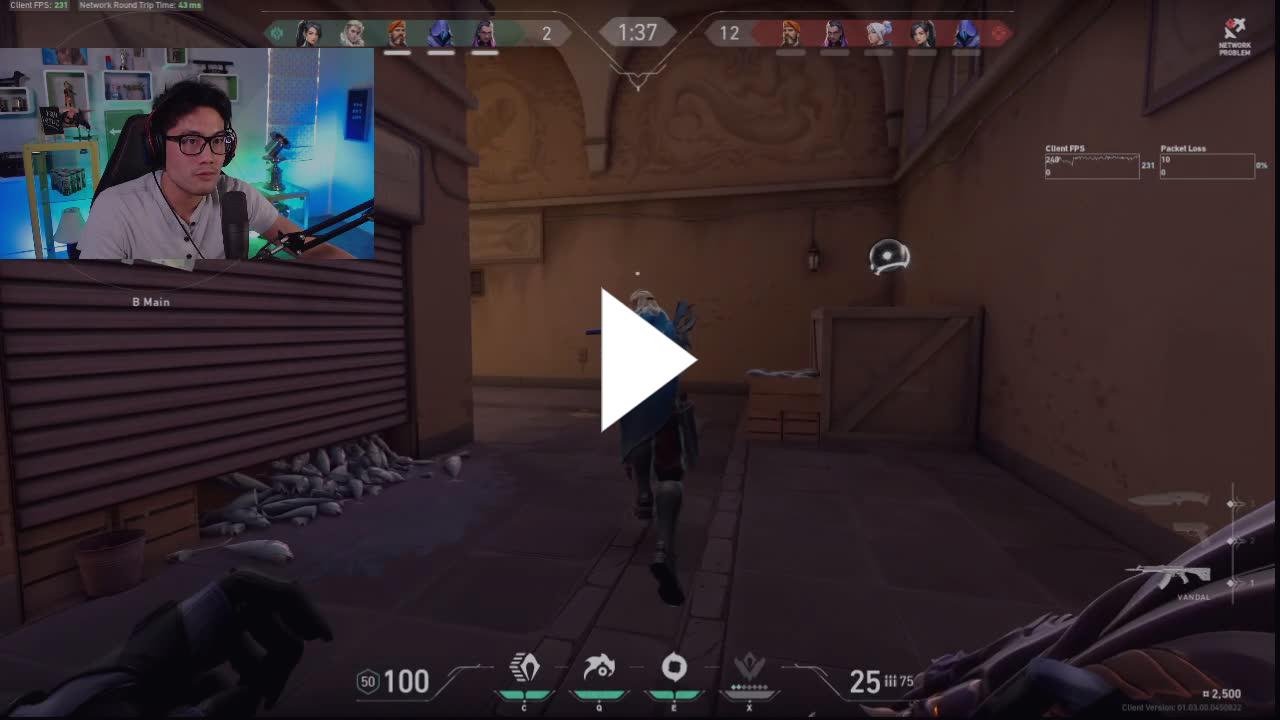 Nice Crosshair Placement - Twitch