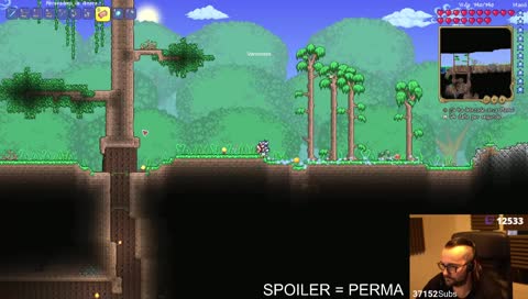 cuando el xokas va a jugar castlevania