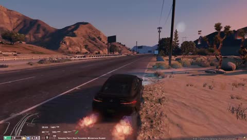 طائر النورس حلق