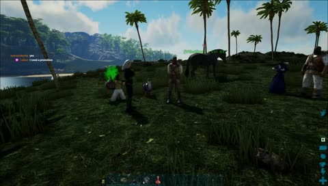 Chicken party 2.0