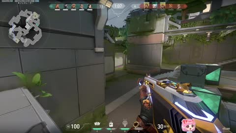 しゃかりんを撃ち落とすあかりん