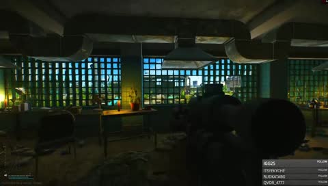 Comissar gets tilted at a pigeon