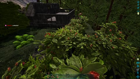 Just vibin in a bush LULW