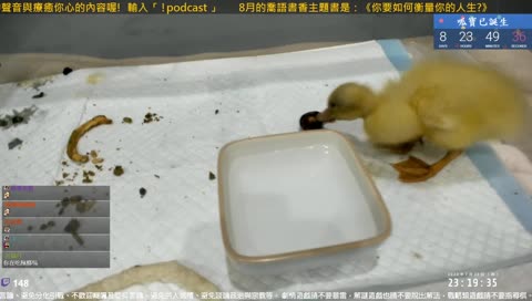 【蕎育鴨】水為什麼那麼髒 1090730