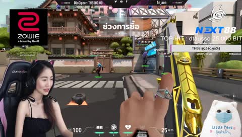 เสียงไมค์แปลกๆ