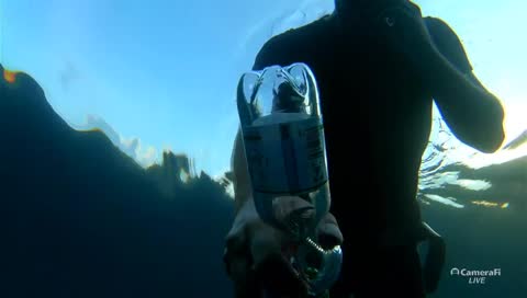 What Happens to your lungs underwater