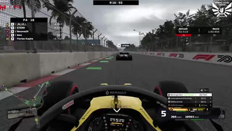 steini neo neuma crash