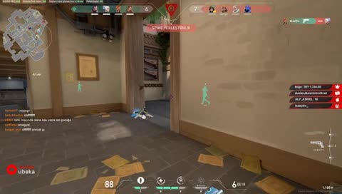 seulp topla olum ekoları