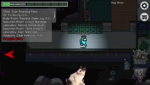 怕..