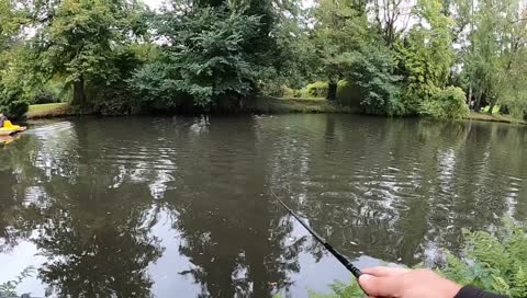 Der ForellenKarpfen :D