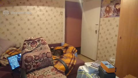 Флекс
