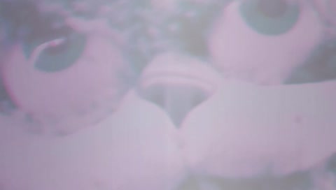 WHERE'S MY LASAGNA, JOHN?