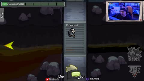 Der hässliche Vogel