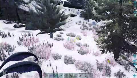 David wenn er in den Club geht