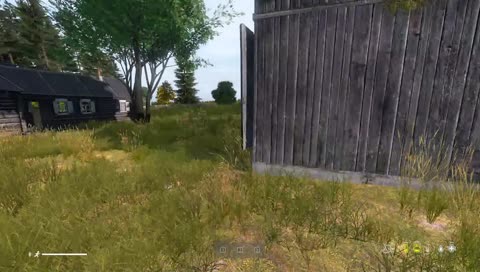 boi what the hell boi