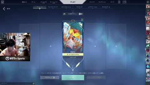 念願のRGXヴァンダル