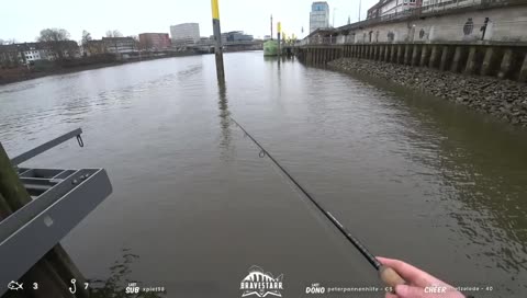Fisch! 53er Zander - Wizzy