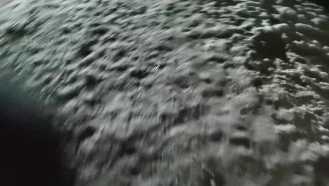 Bu1zer fast von Hunden angegriffen