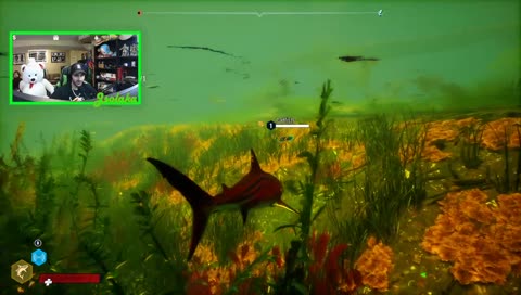 I am the Apex Predator