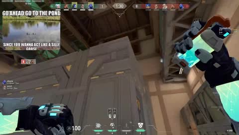 Thumbnail image for ace