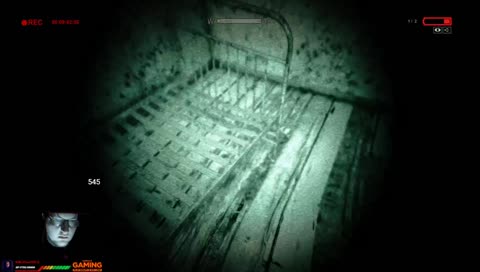 Lekl se rozsvíceného světla LUL