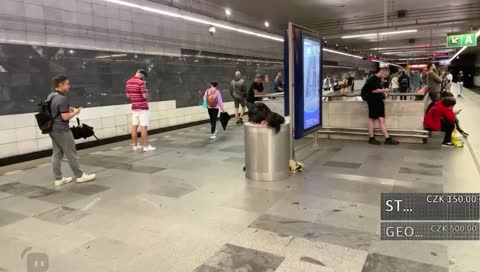 to je v pici homeless