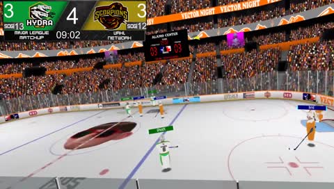 Brrd's Career Ending Injury
