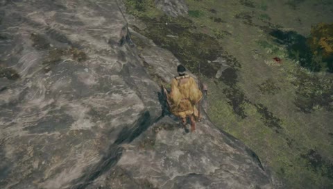 COGGERS Sheep