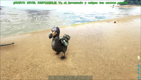 El dodo cagon.