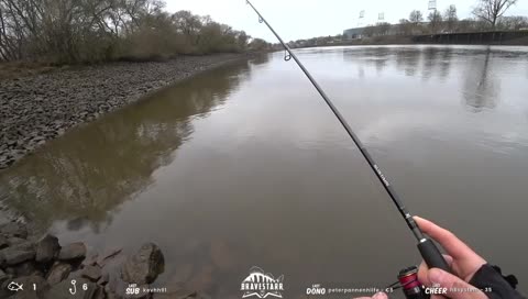 Fisch! 55er Zander - Wizzy
