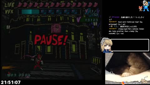 めるしゃんかわいいよしよし