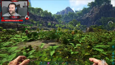 Nadie confía en Kiri