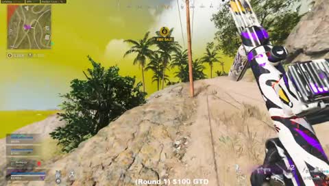 1 clip