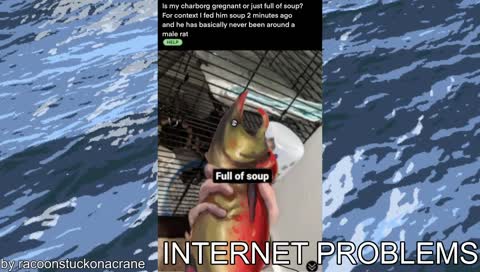 they call me charboSNAPS