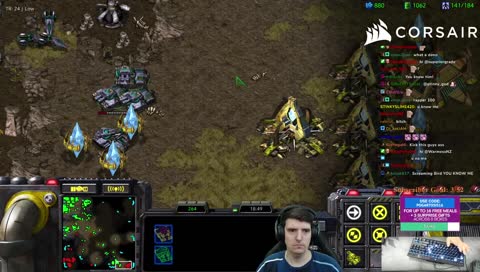 vultures behind tanks