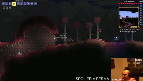 Terrari es un juego de chill