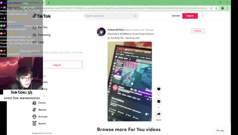 WHAT IN THE DISCORD KITTEN