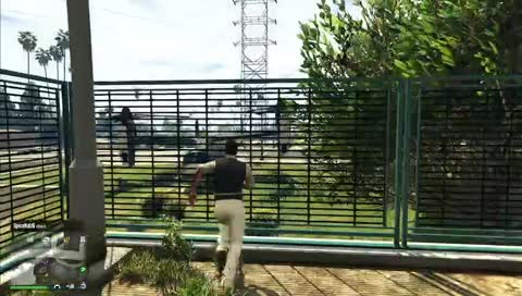 POV: the kid falling into harambes cage