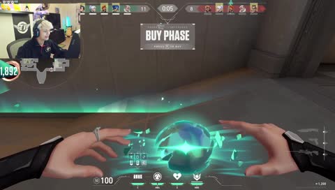 the rattiest of rat walls