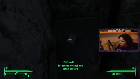 le banane volanti