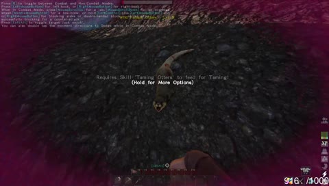 streamer finally snaps