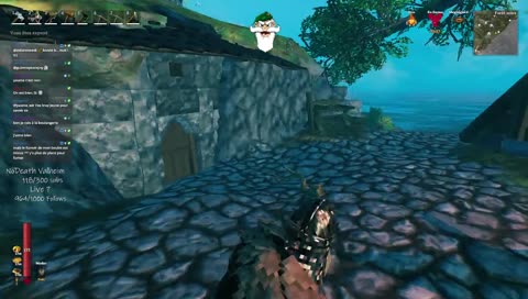 Chamignons sur la moquette