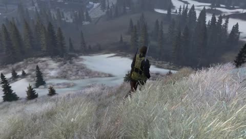 random NPC encounter