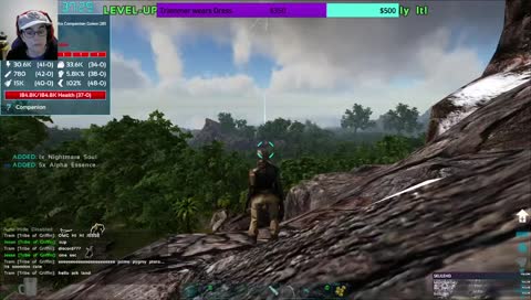 SUPRISE M-FER