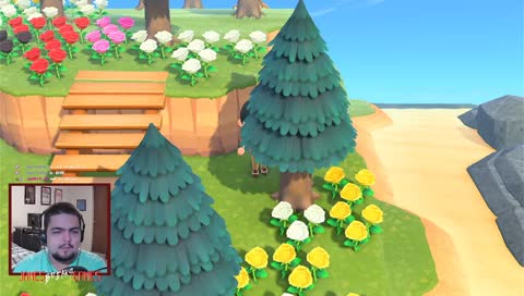 hide and seek