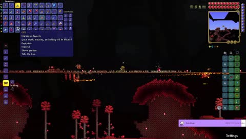 No-Hit HCMM FTW Brain