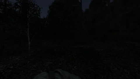 meant to pull out the shotty