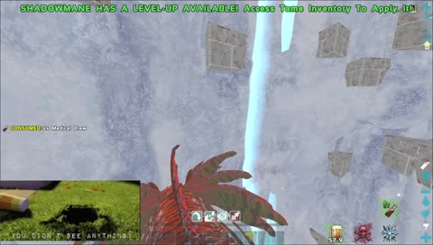 n1s btw