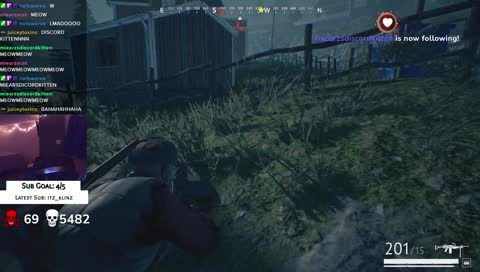 DISCORD KITTEN APPLICATION