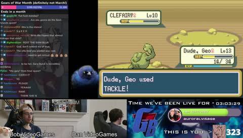 BANI THE ORANGE BLUR